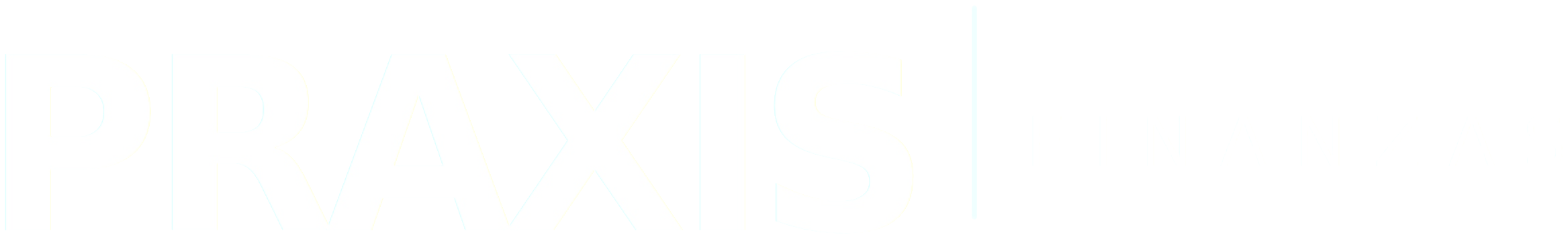 Praxis Finanzas