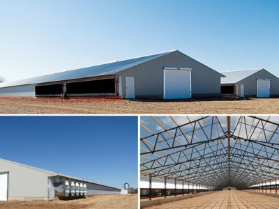 galpones-buildings-2.jpg
